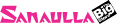 Sanaulla International