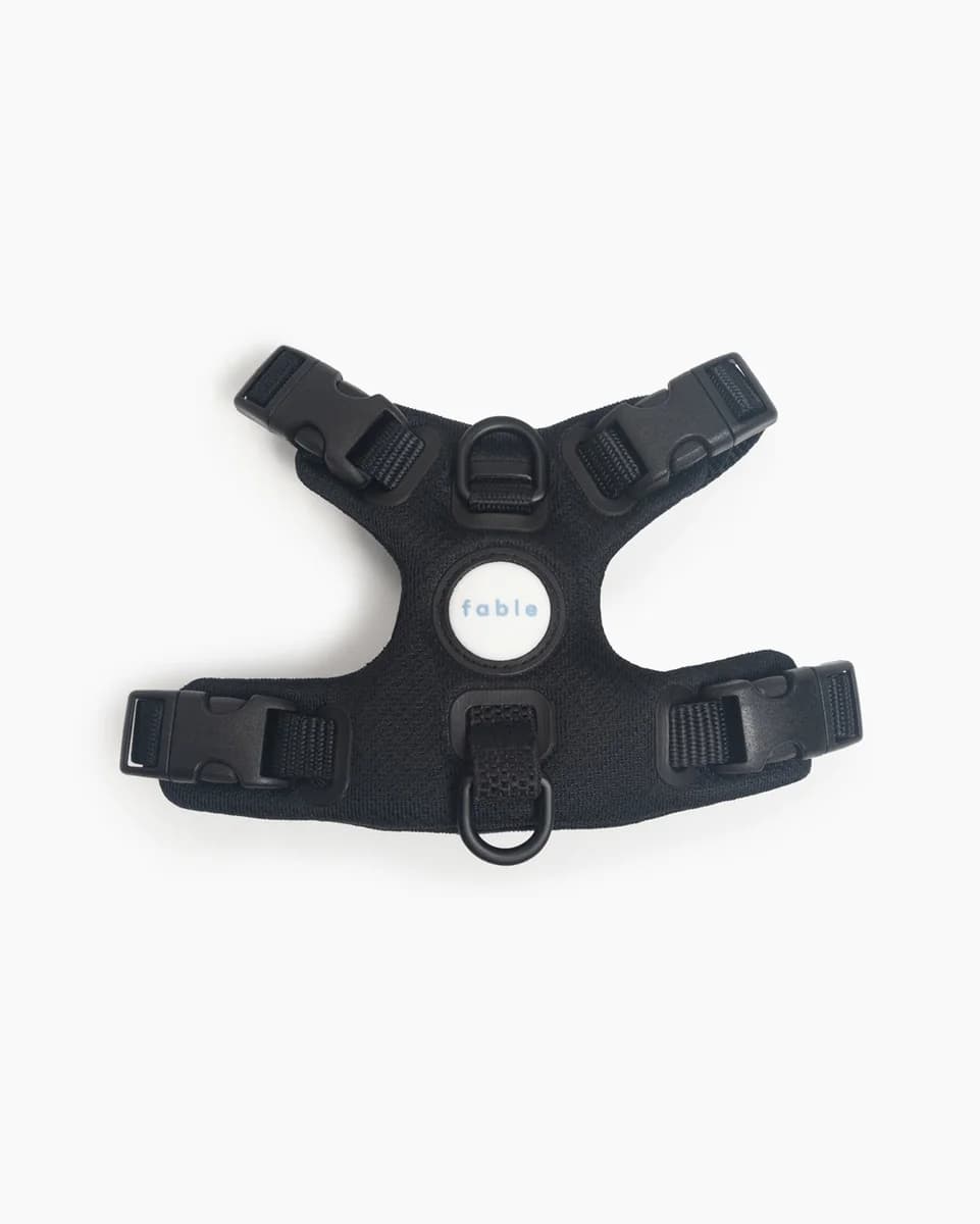 Your product photo